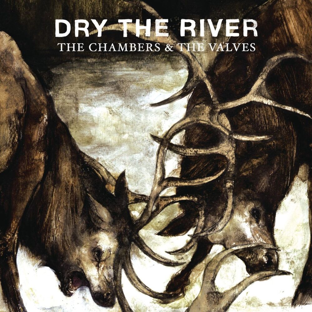 Picture of The Chambers & The Valves