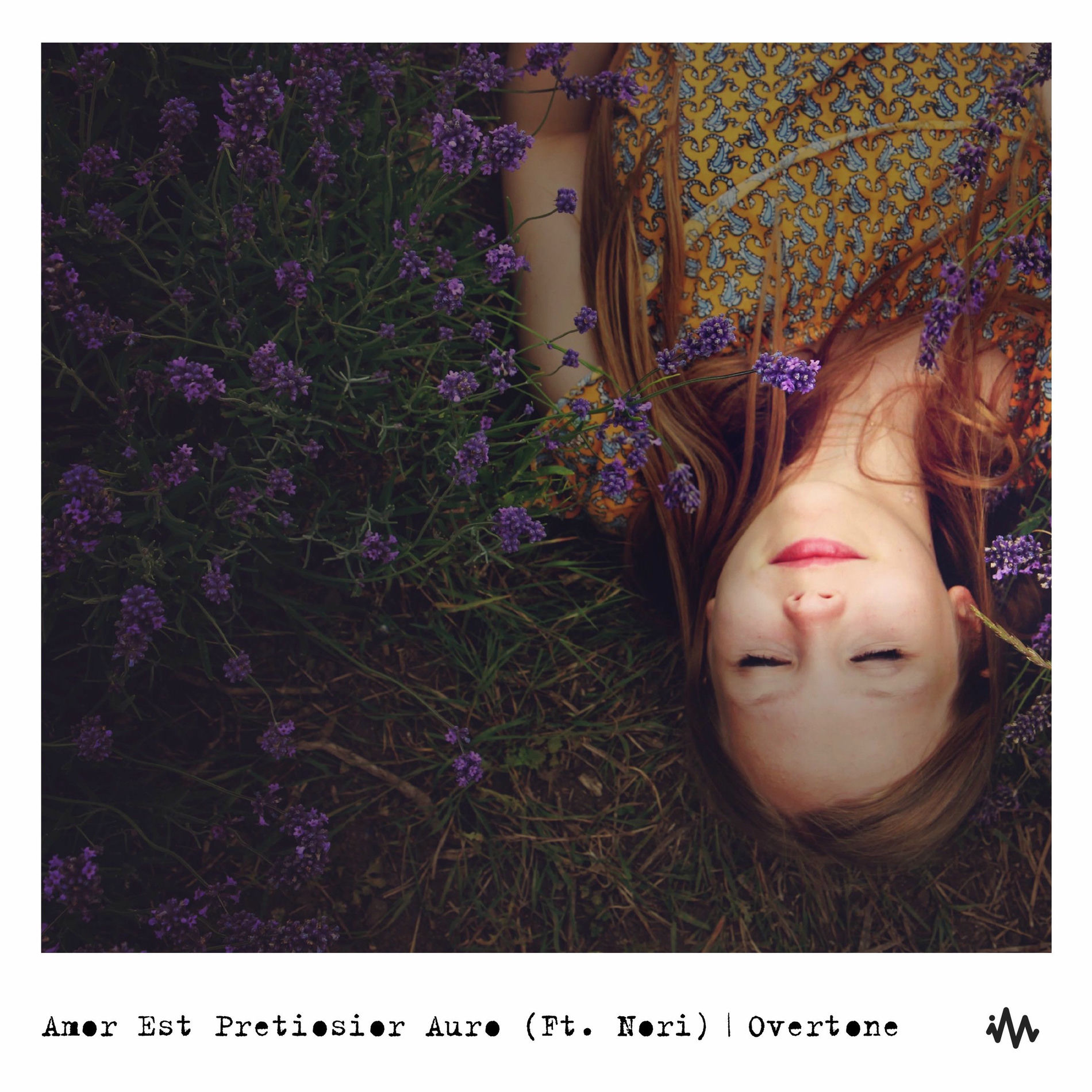 Album cover of Amor Est Pretiosior Auro