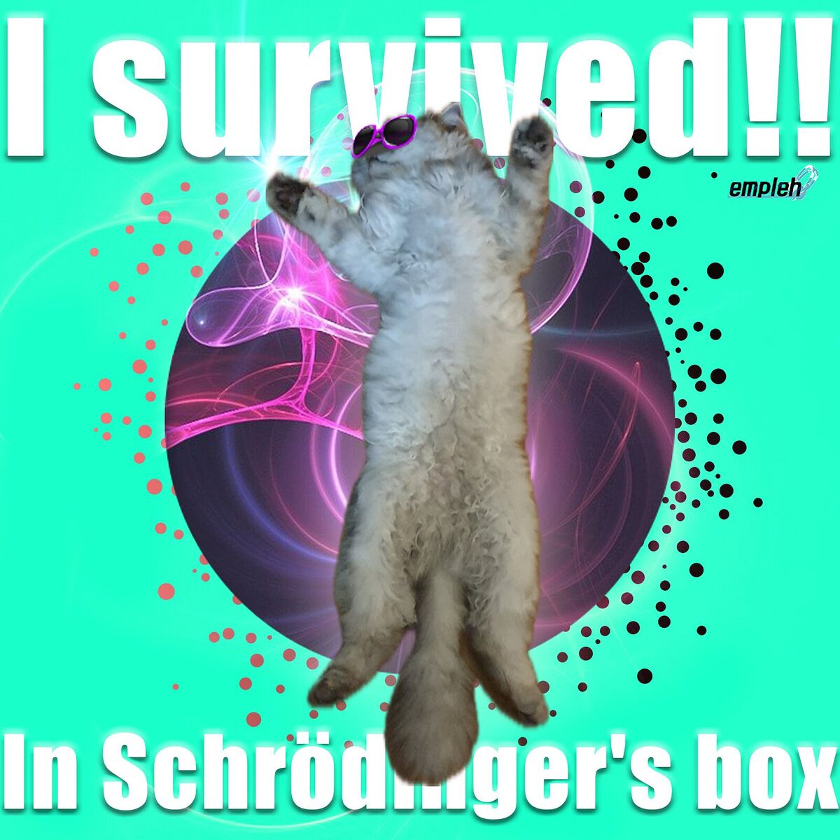 Album cover of I Survived!! (In Schrödinger's Box)