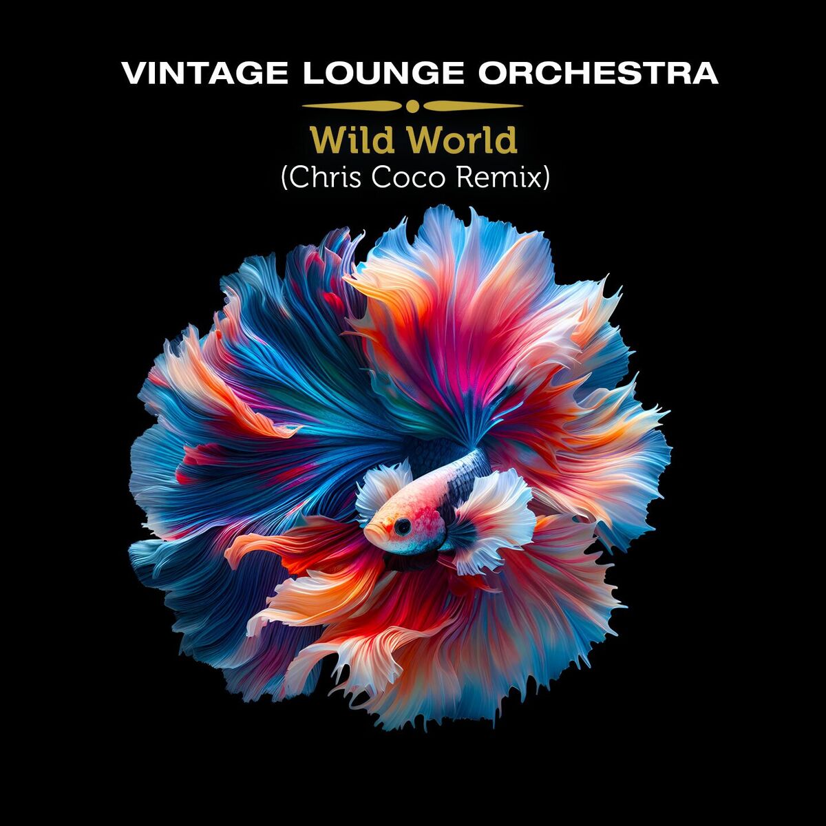 Album cover of Wild World (Chris Coco Remix)