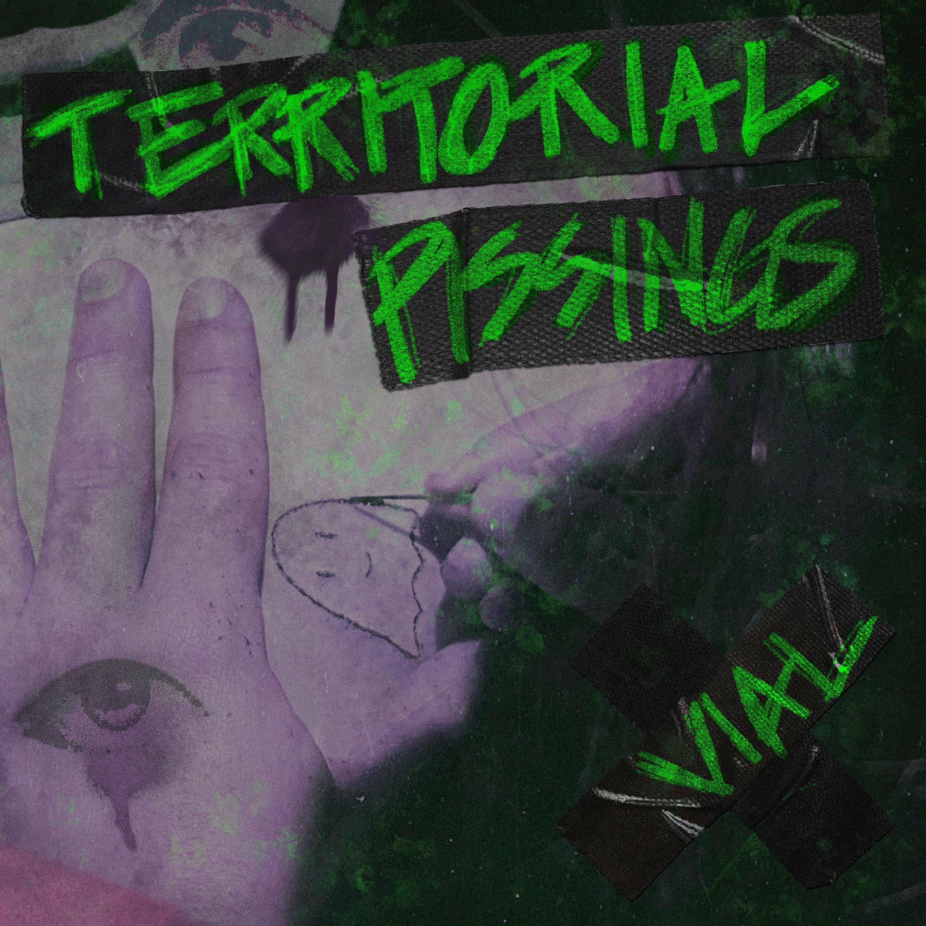 Album cover of Territorial Pissings