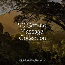 Cover of 50 Serene Massage Collection