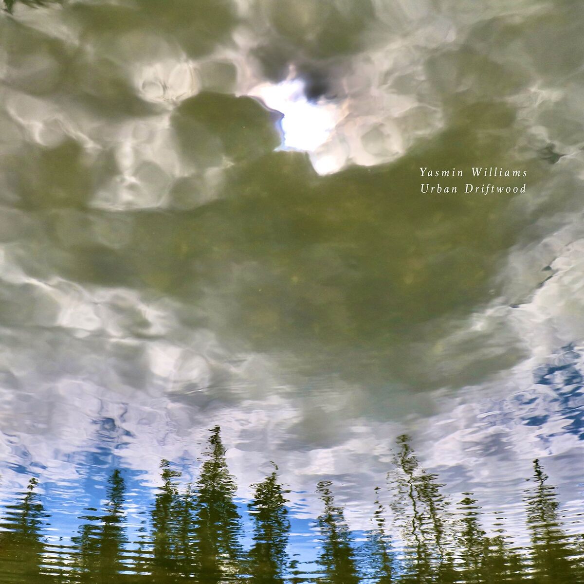 Album cover of After the Storm