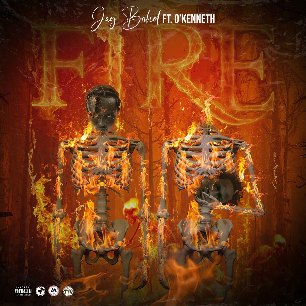 Album cover of Fire