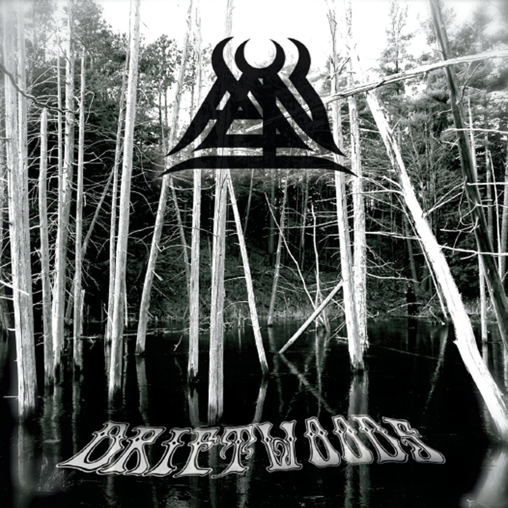 Picture of Driftwoods