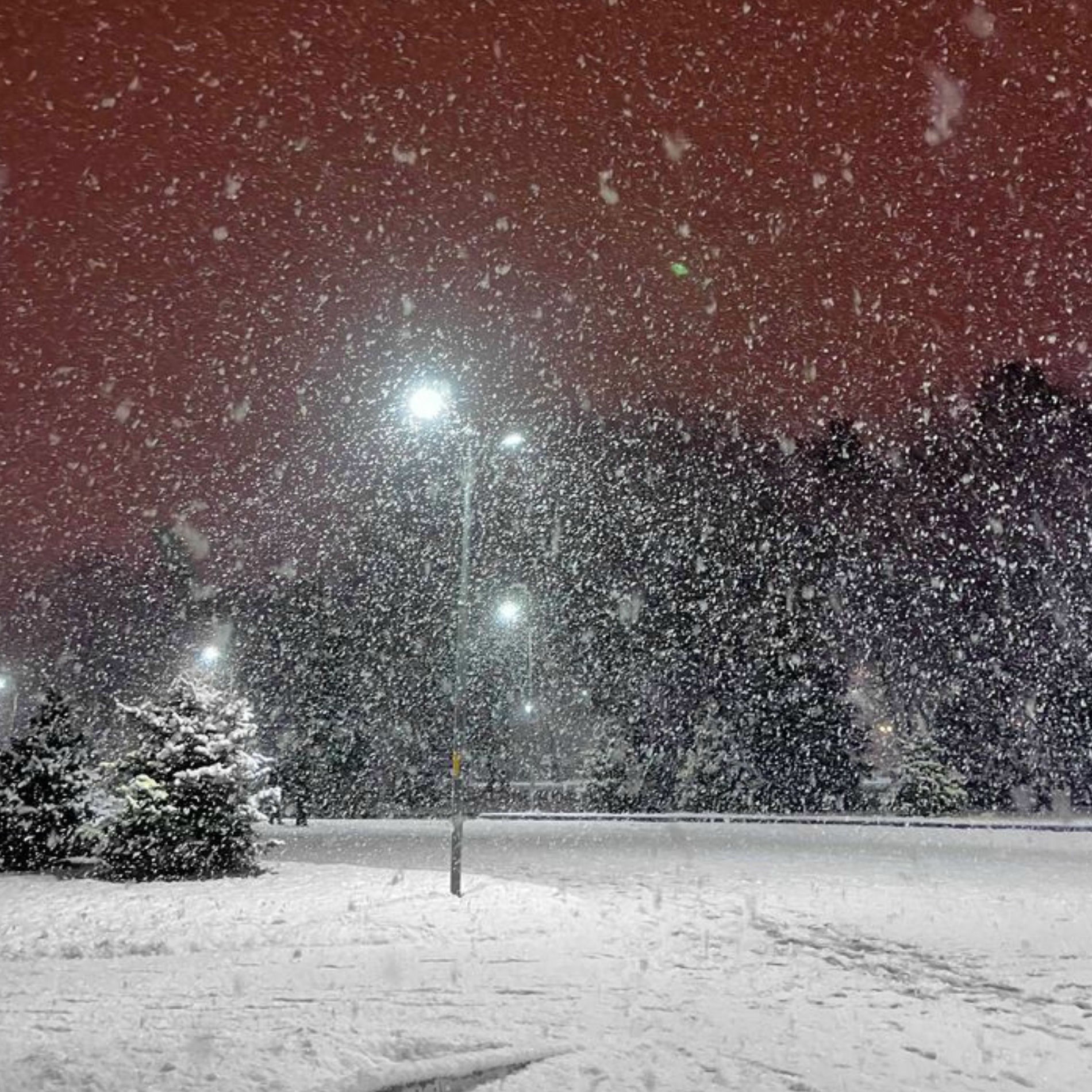 Album cover of it wasn't supposed to end like this