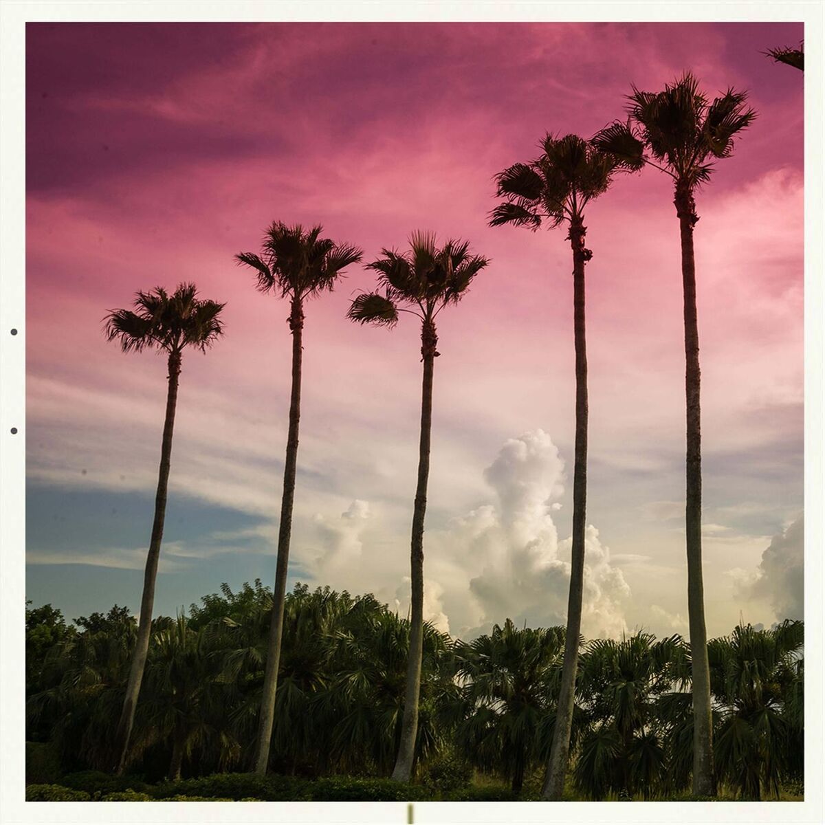 Album cover of Roll