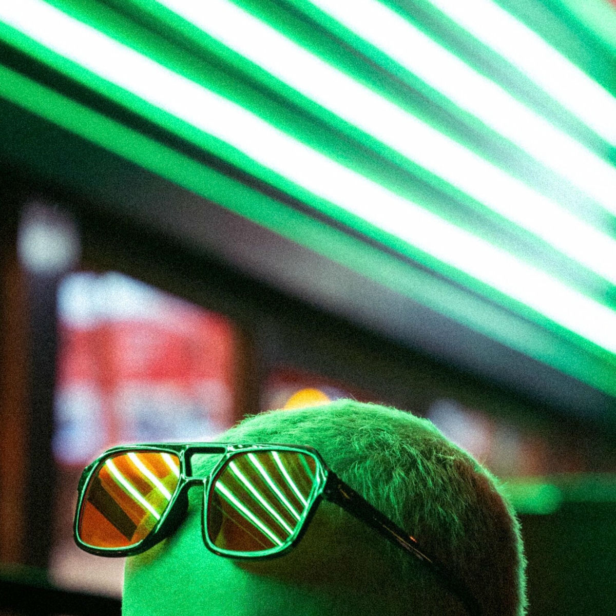 Album cover of Kuck kuck