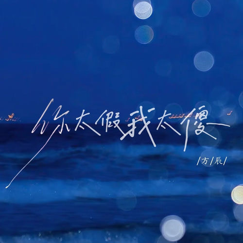 你太假我太傻