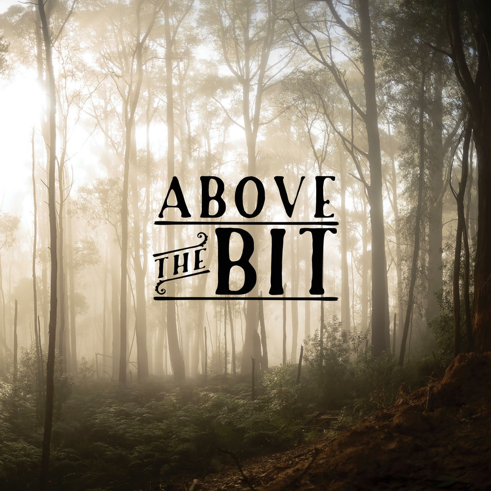 Album artwork for The Interview by Above The Bit