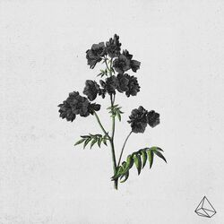 Cover of Betterman