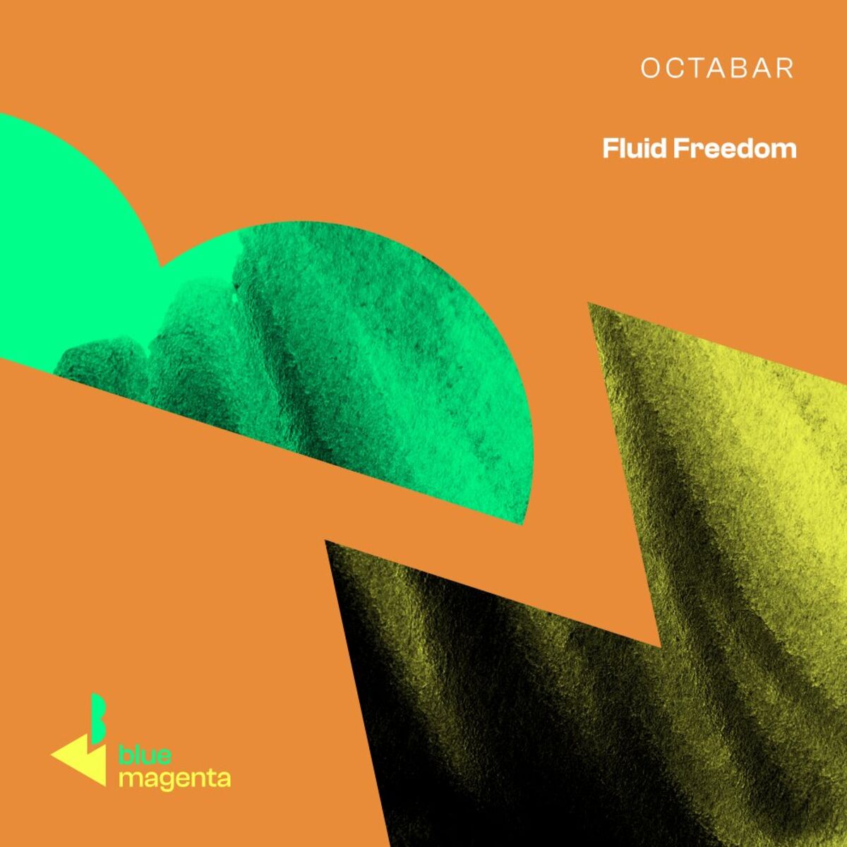 Album cover of Fluid Freedom