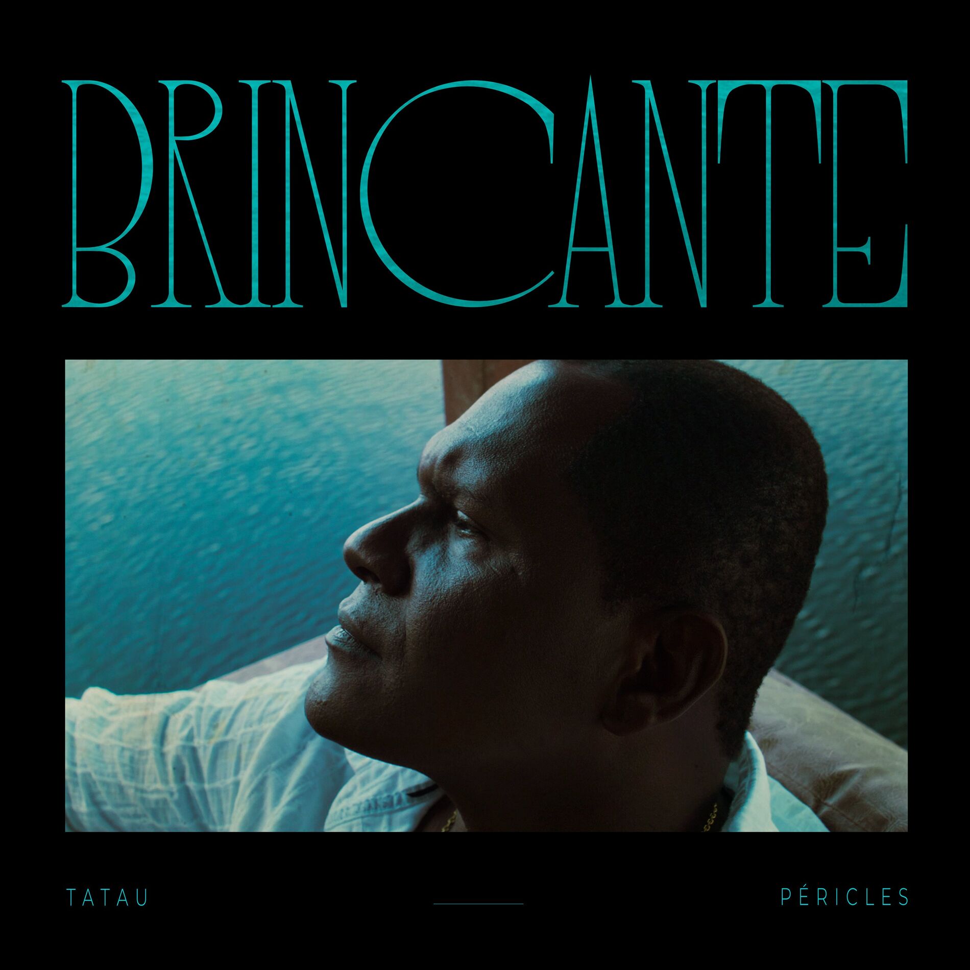 Album cover of Brincante
