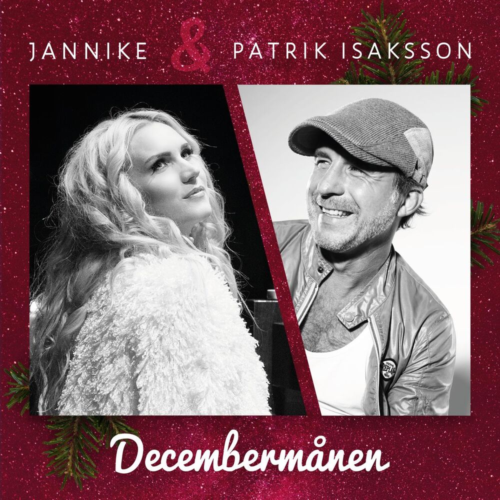 Picture of Decembermånen