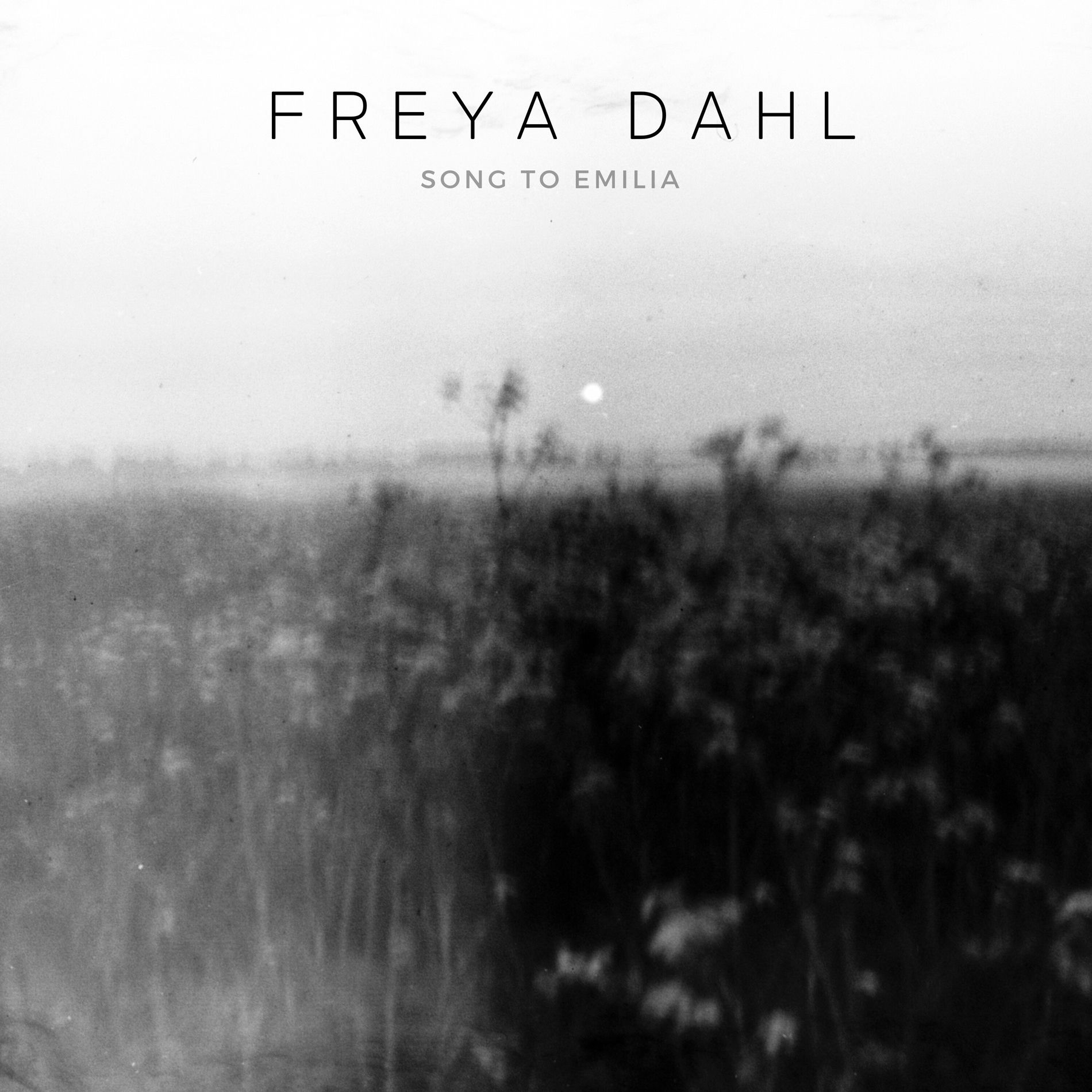Album cover of Song To Emilia