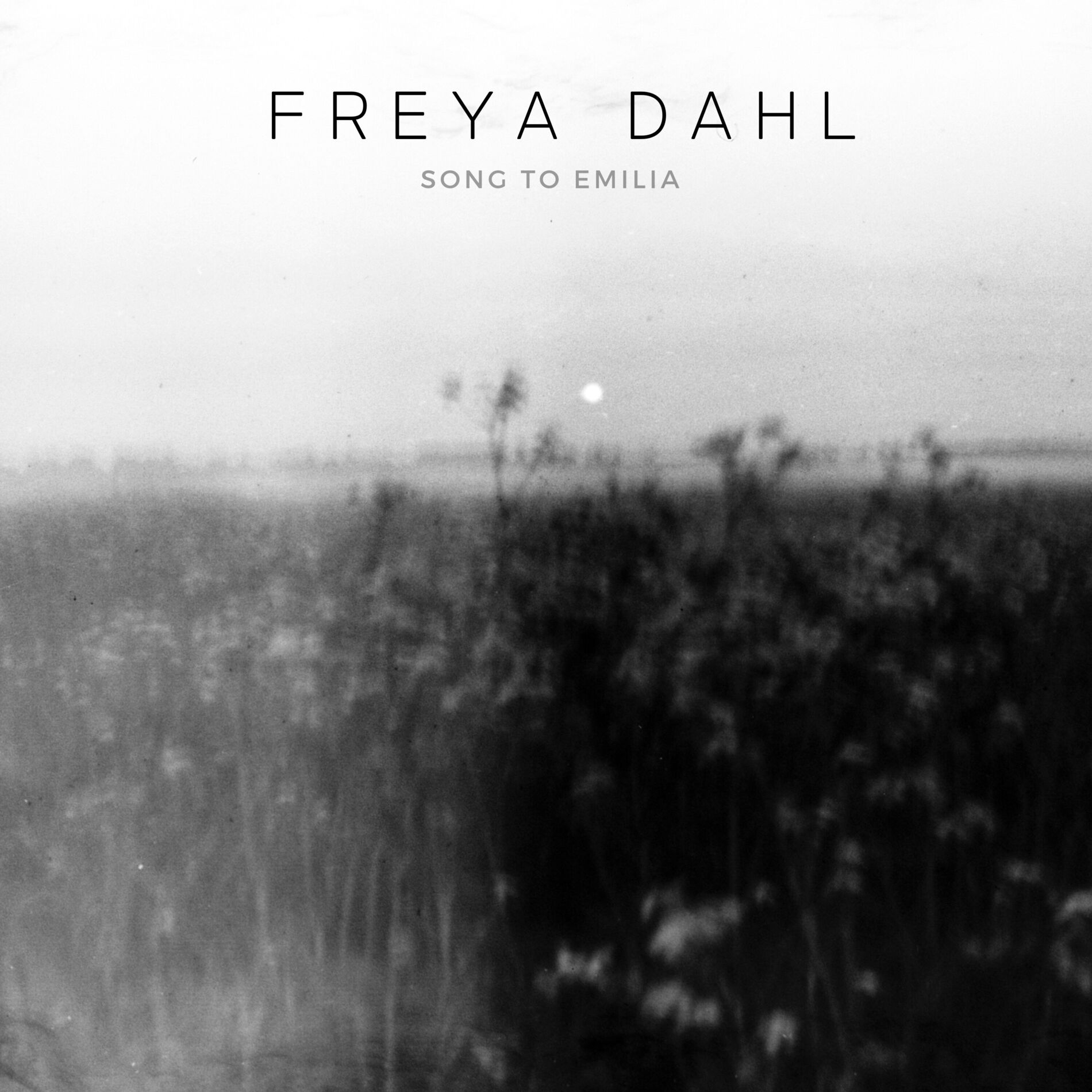 Album cover of Song To Emilia
