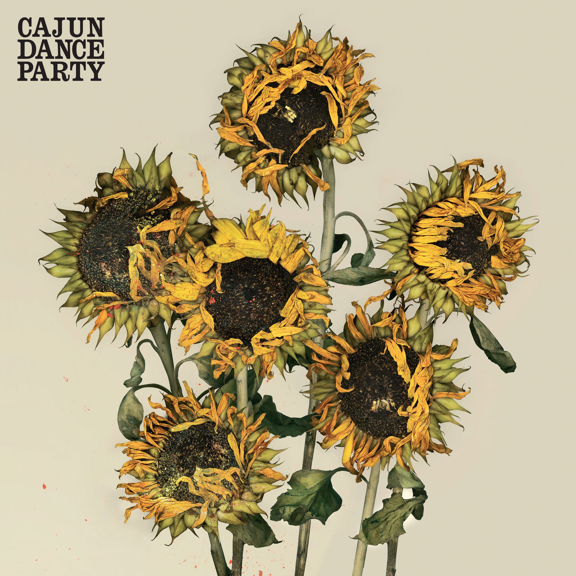 Cajun Dance Party: albums, songs, concerts | Deezer