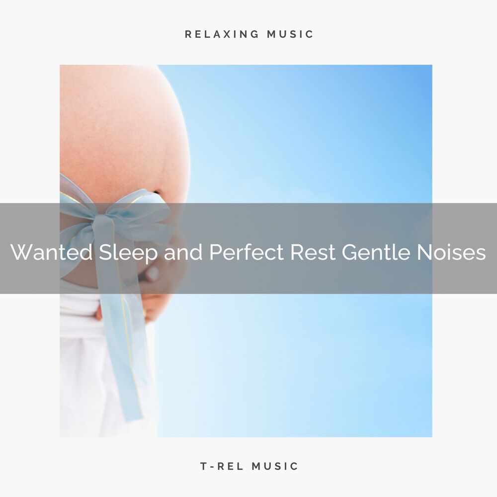 Picture of ! ! ! ! ! ! Wanted Sleep and Perfect Rest Gentle Noises
