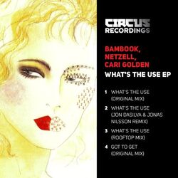 What's the Use EP