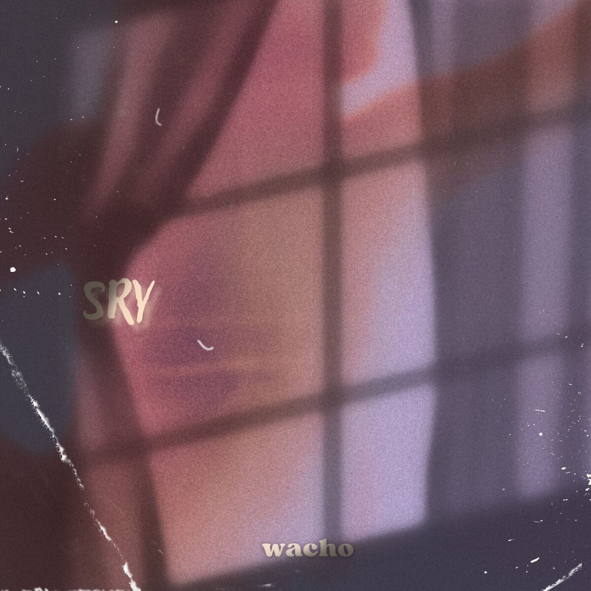 Album cover of Sry