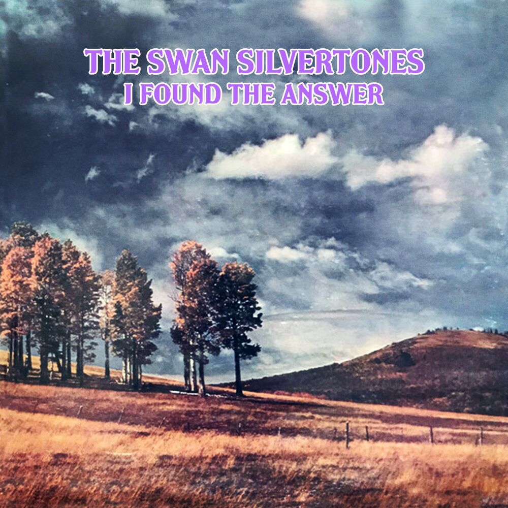 Picture of I Found the Answer