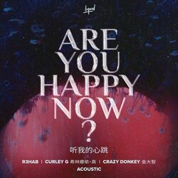 Cover of Are You Happy Now (Acoustic)