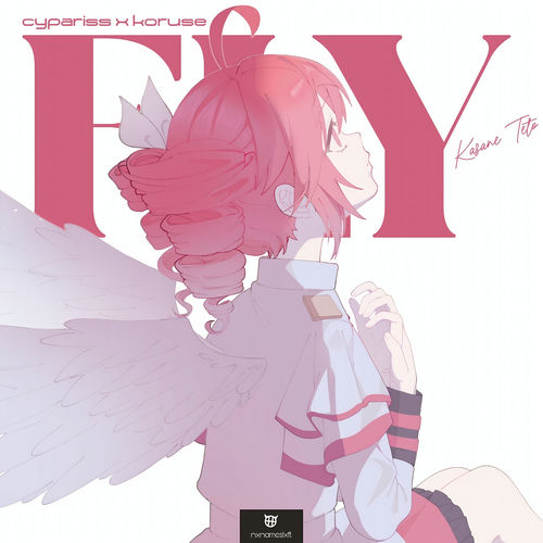 FLY artwork