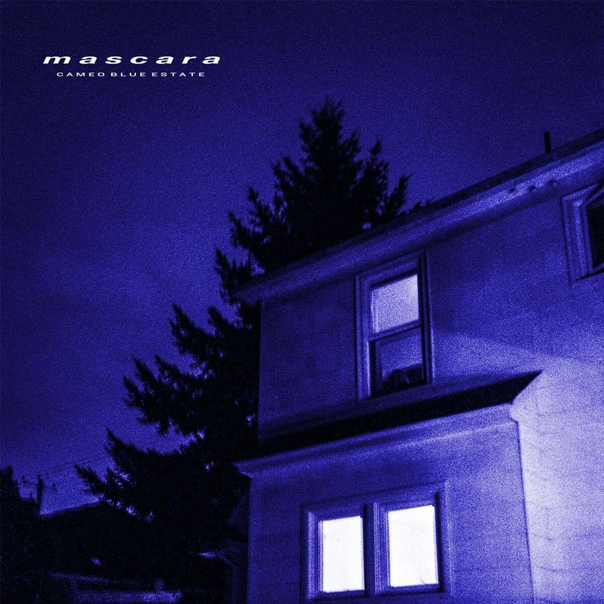 Album cover of Cameo Blue Estate