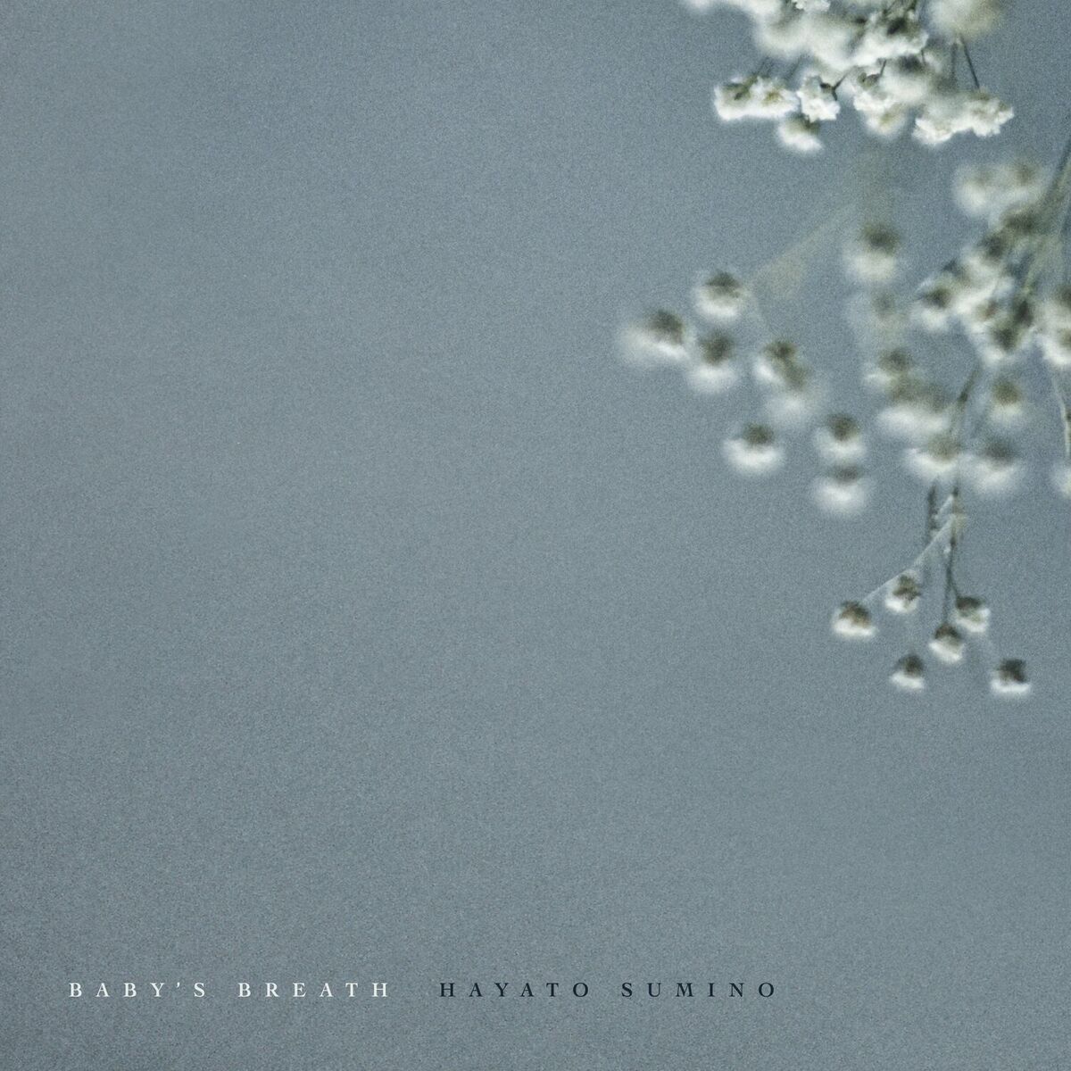 Album cover of Baby's Breath