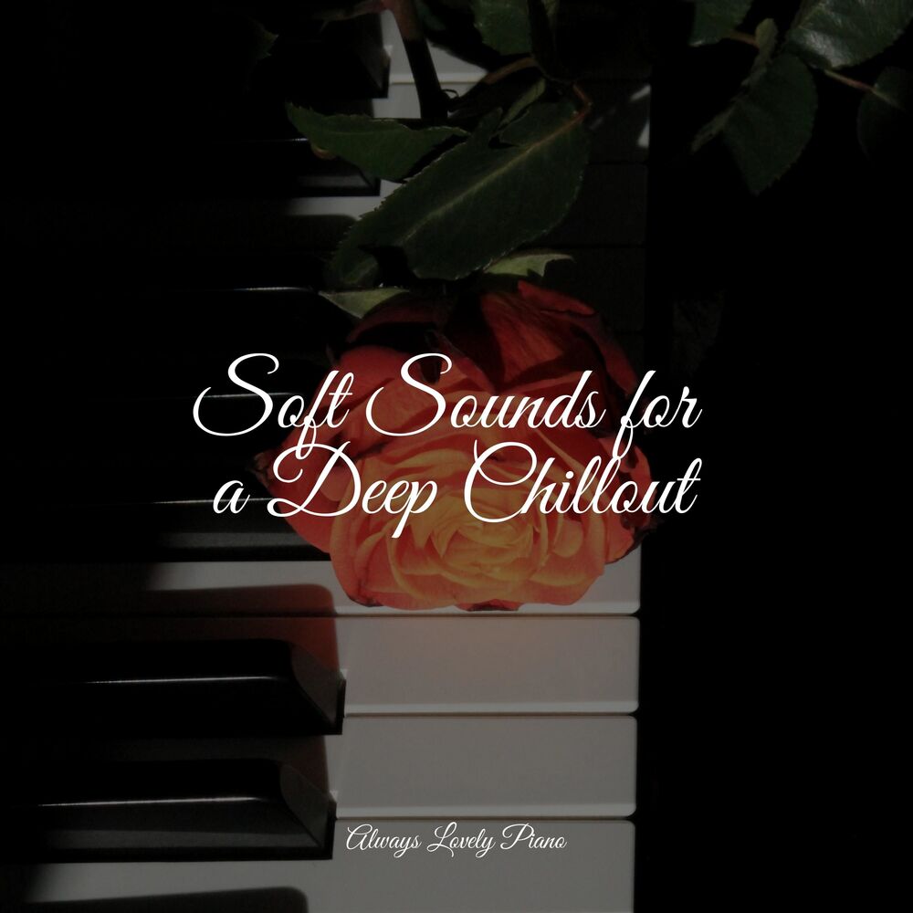 Picture of 50 Tranquil Songs for Peace & Tranquility