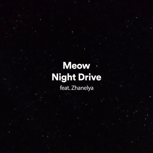 Night Drive (feat. Zhanelya)