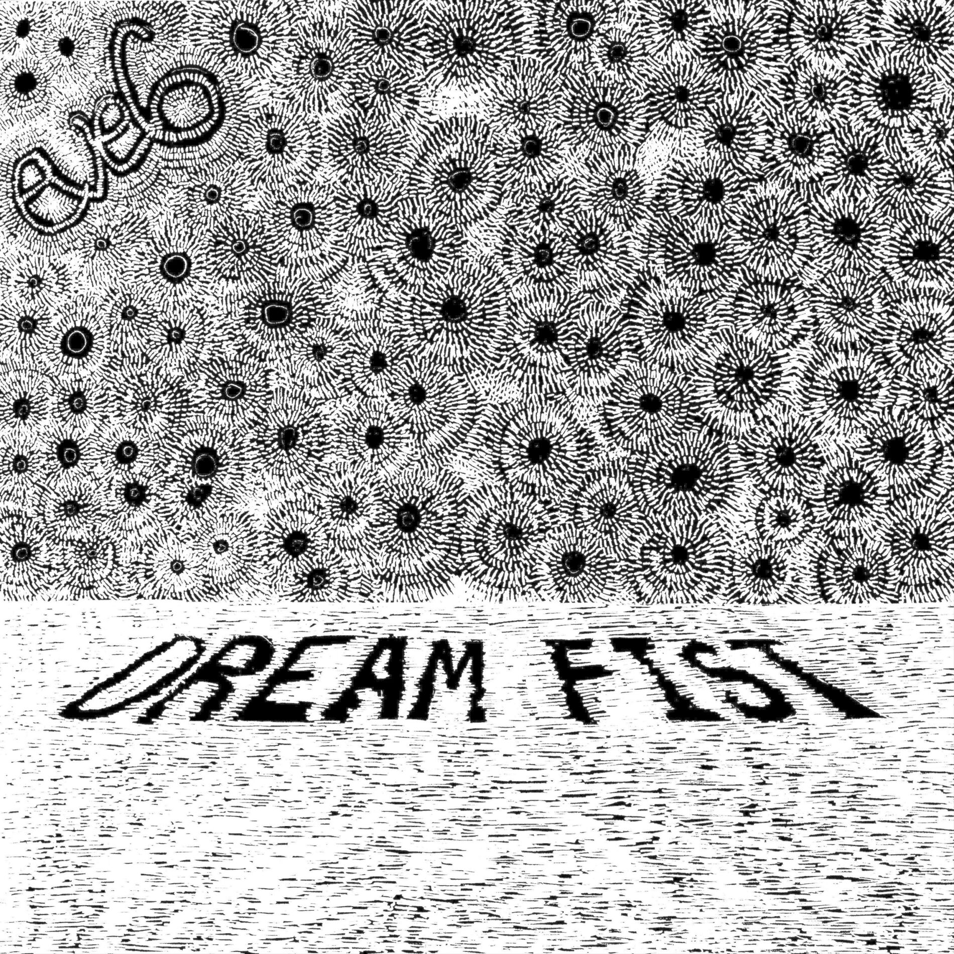 Album cover of Dream Fist