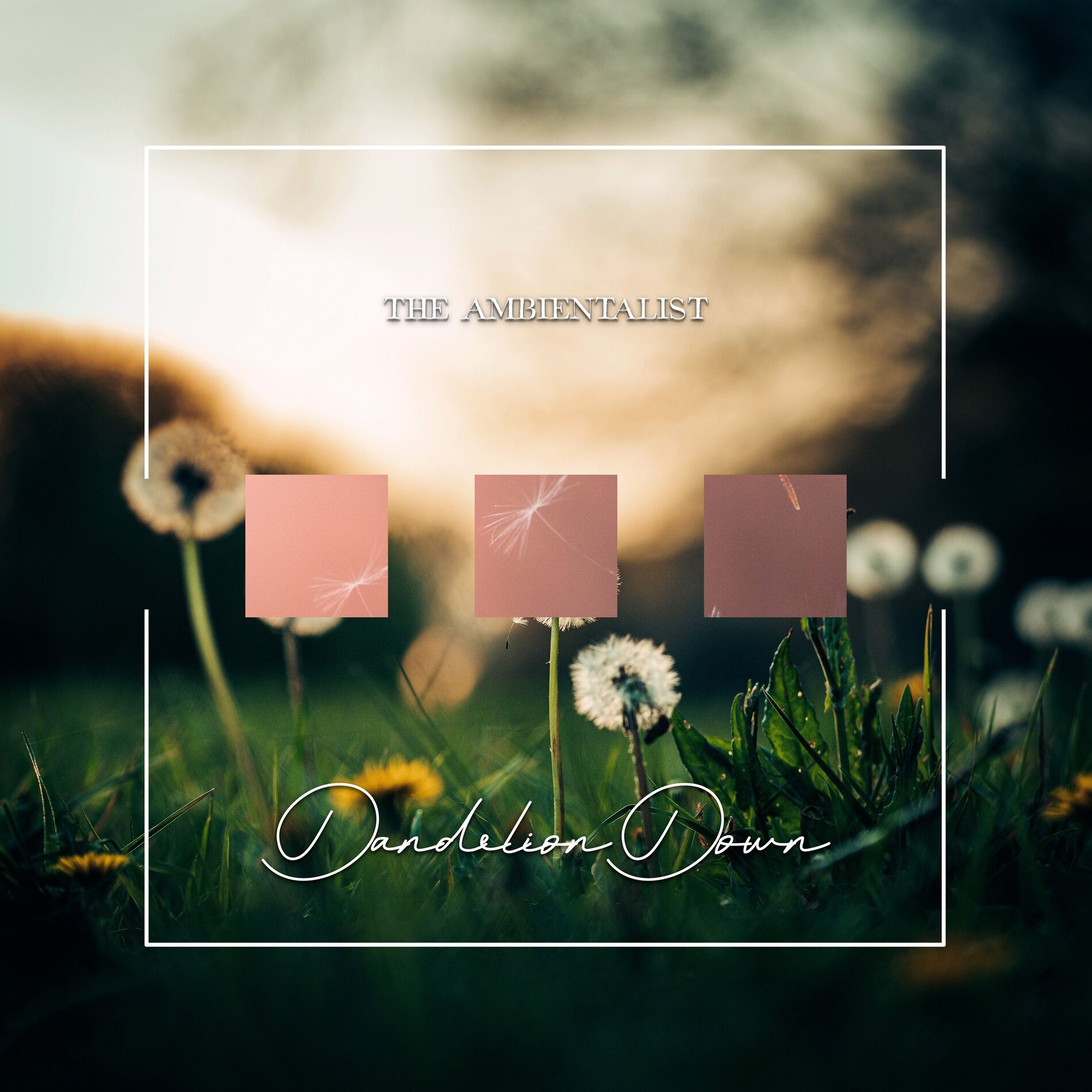 Album cover of Dandelion Down