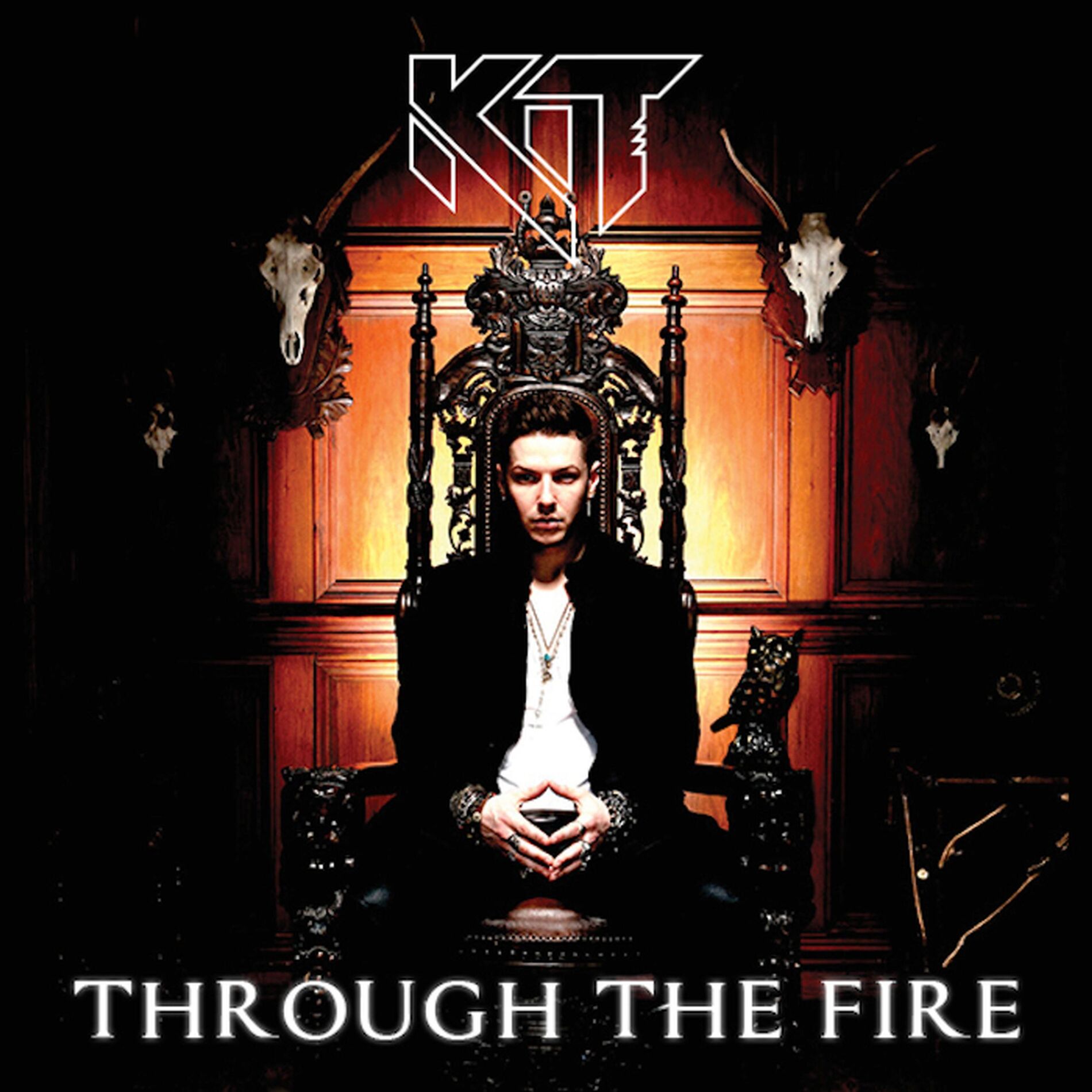 Album picture of Through the Fire