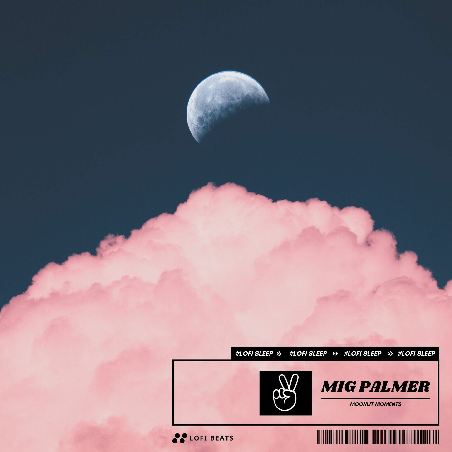 Album cover of Moonlit Moments