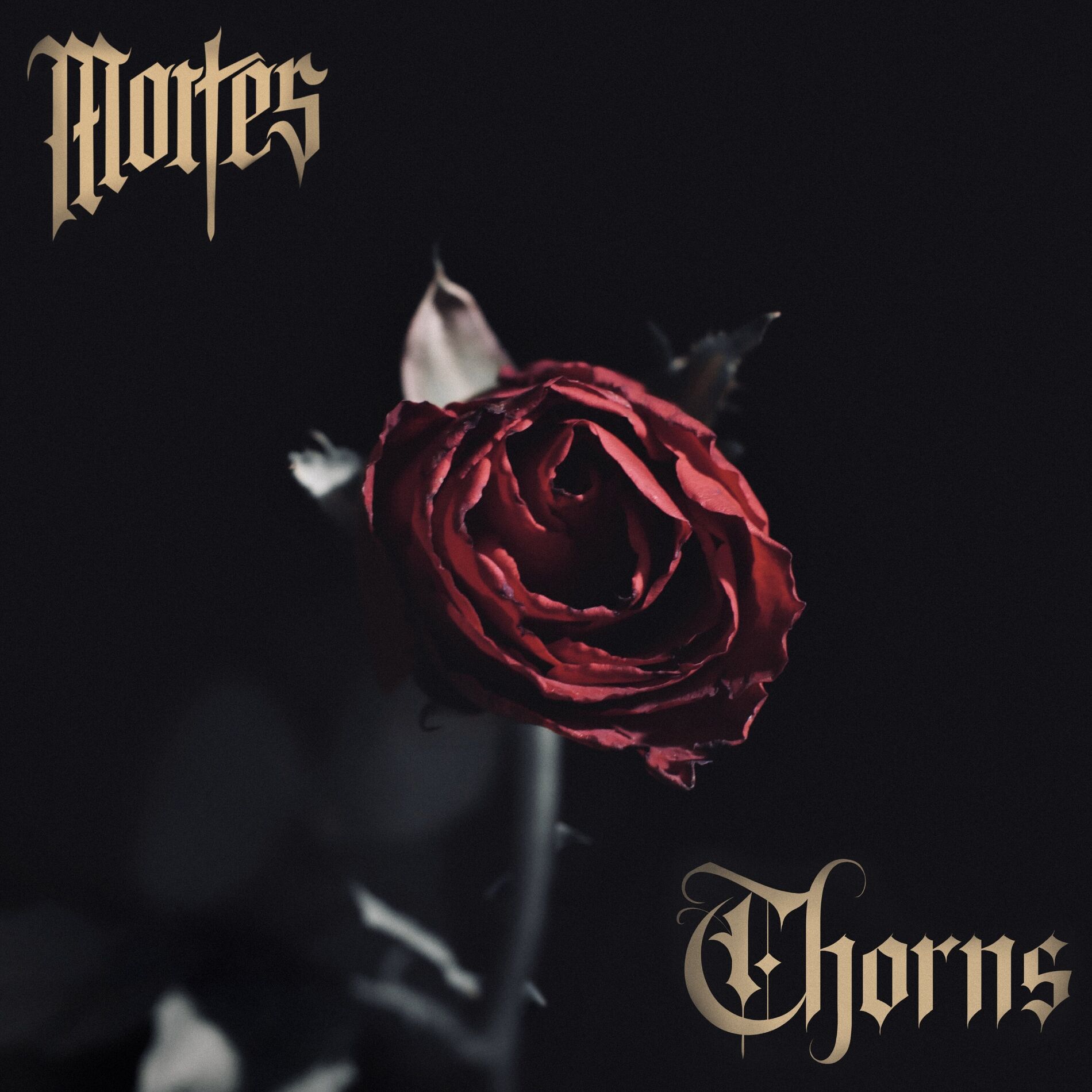 Album cover of THORNS