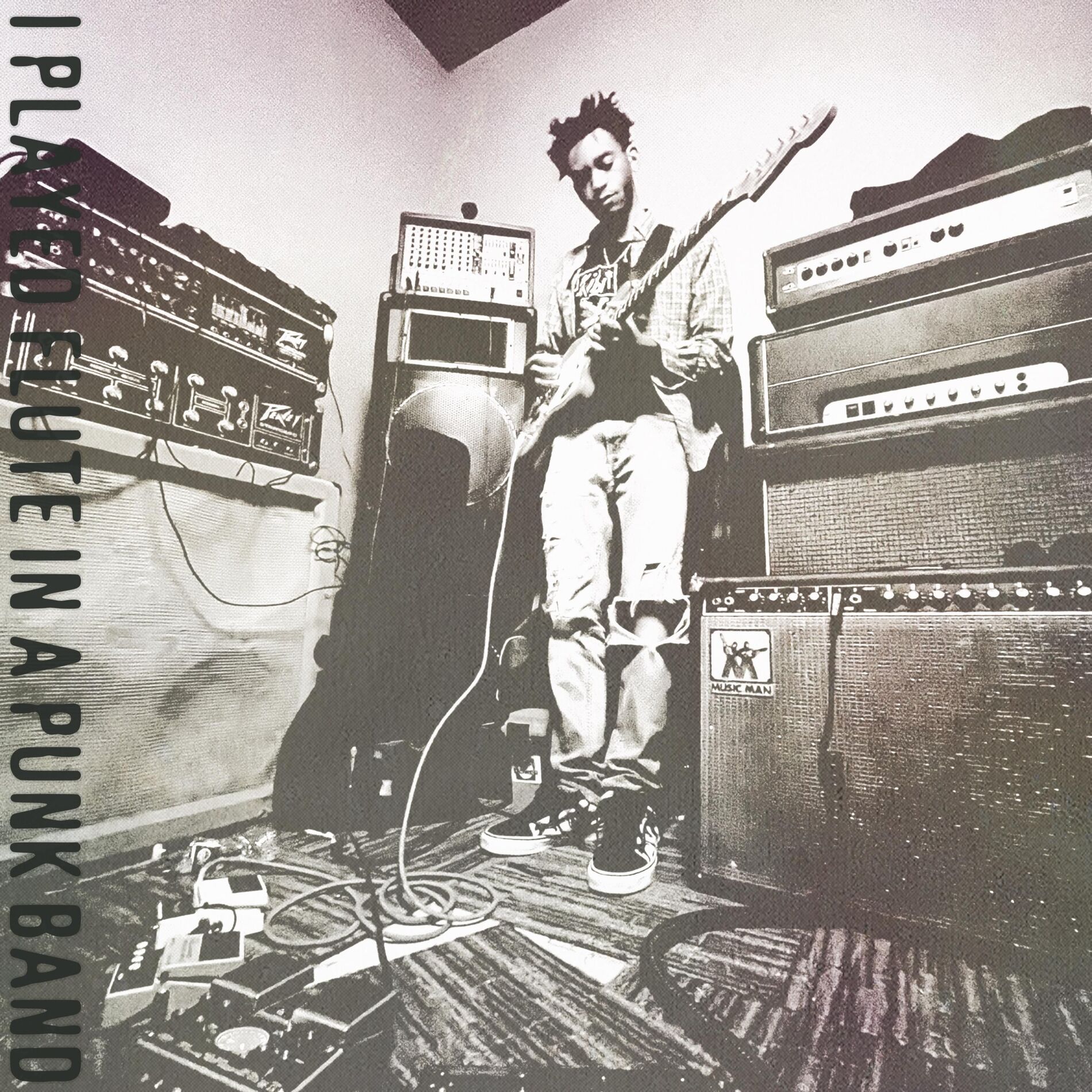 Album cover of I Played Flute in a Punk Band