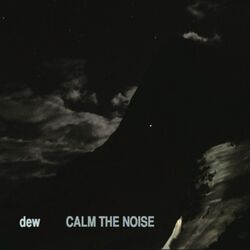 Cover of Calm the Noise