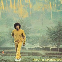 Cover of Cervo A Primavera