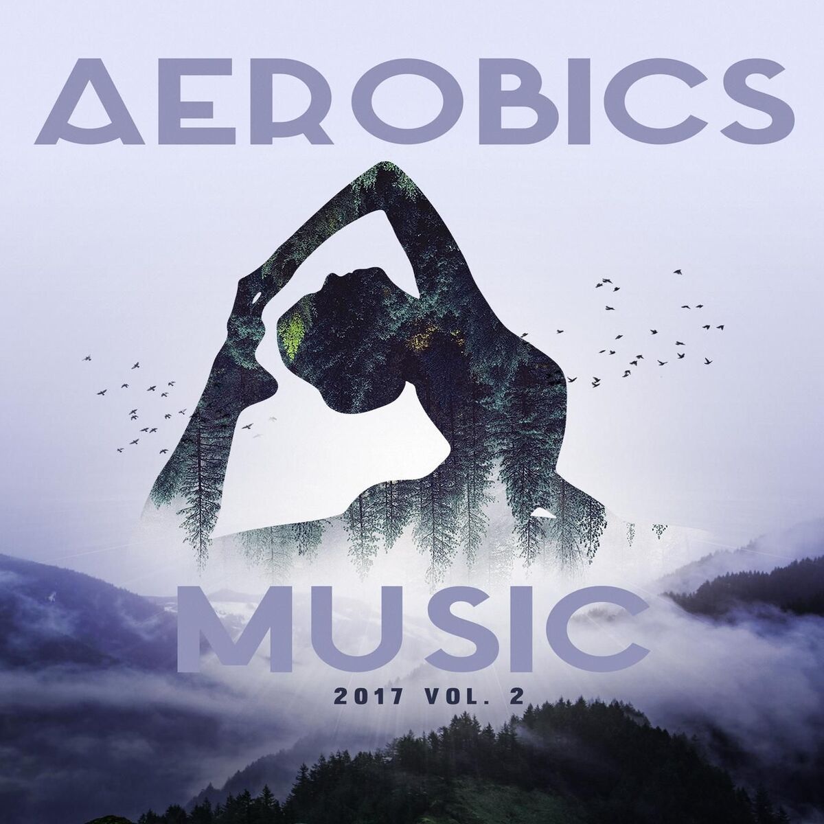 Album cover of Aerobics Music 2017 Vol. 2