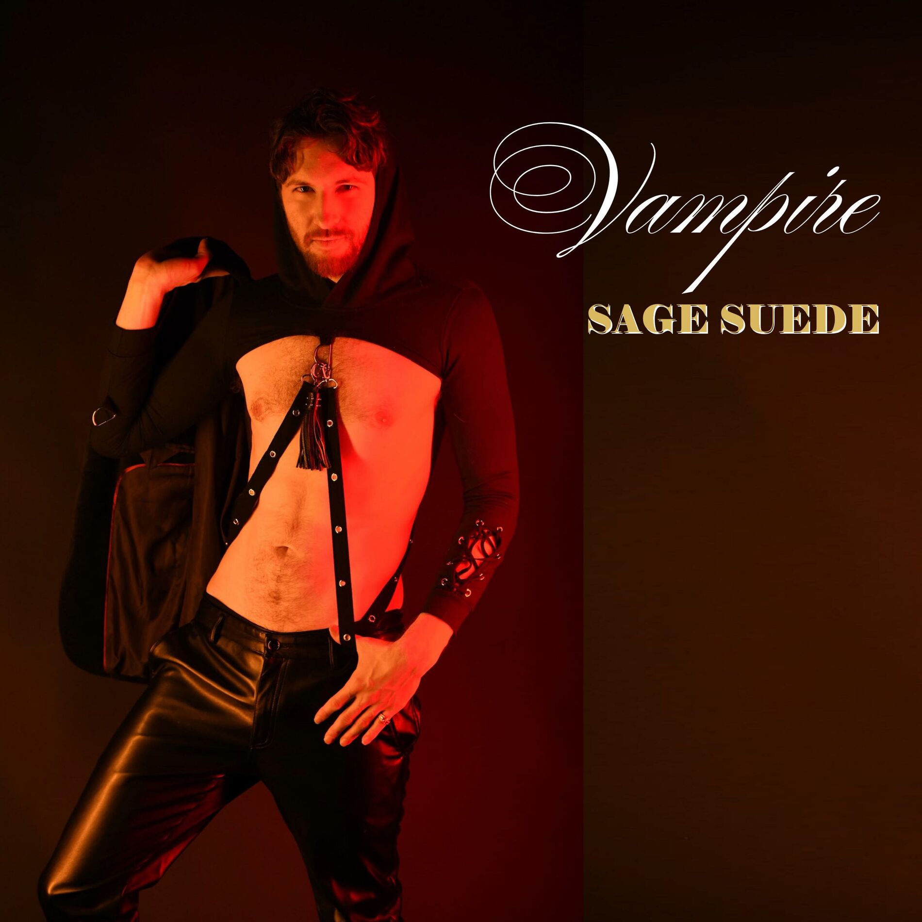 Album cover of Vampire