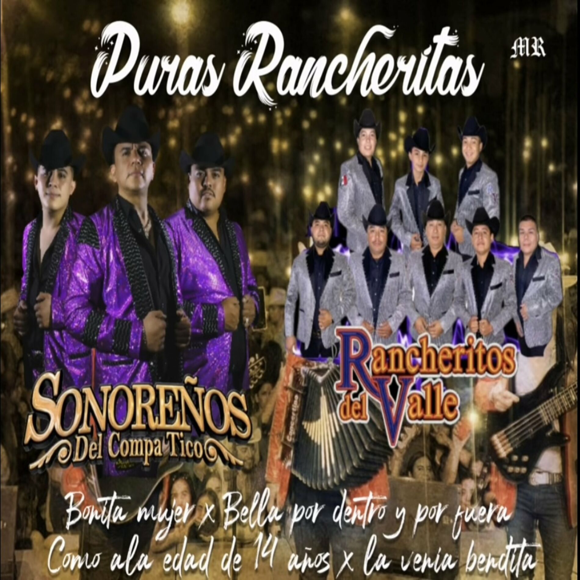 Album cover of Puras Rancheritas