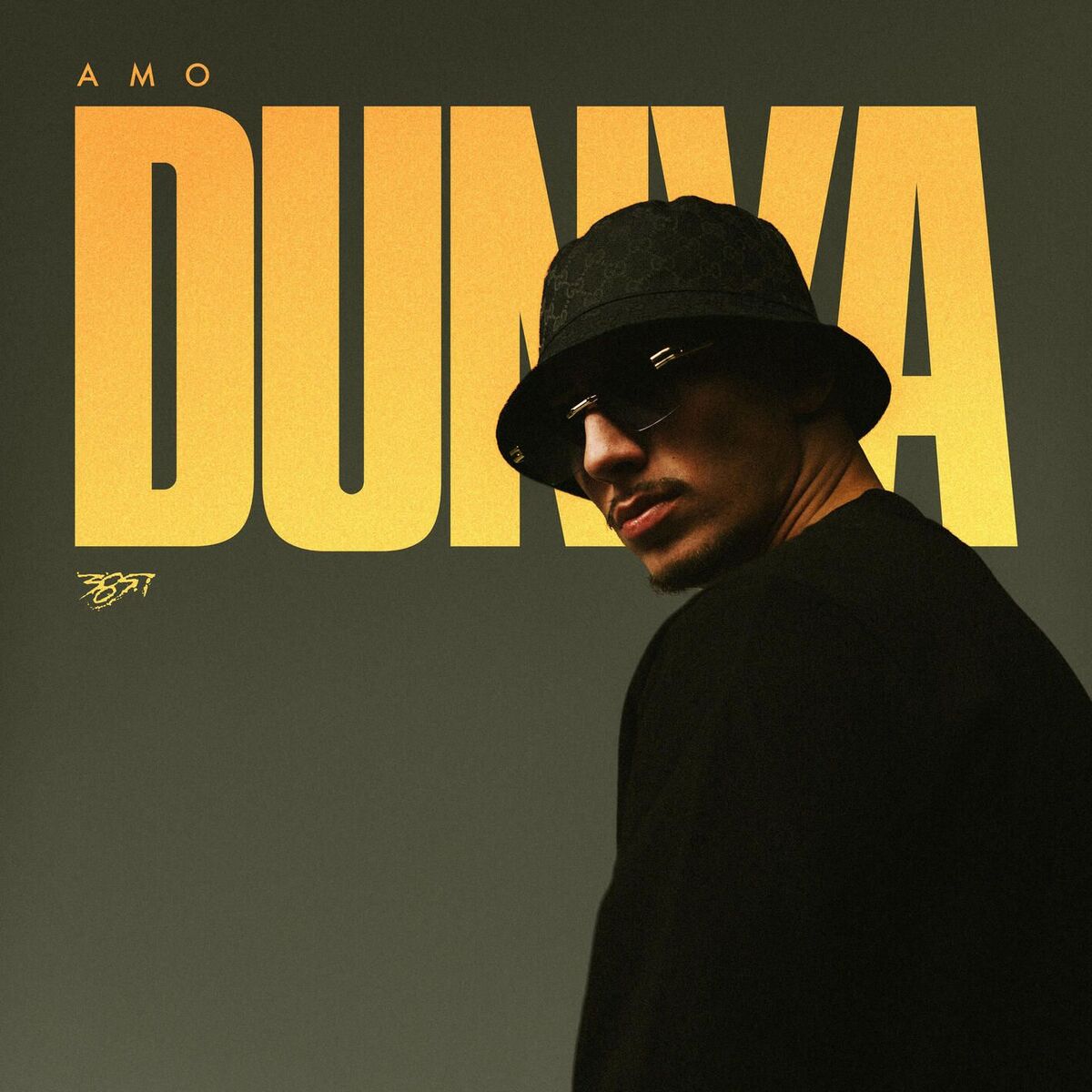 Album cover of Dunya
