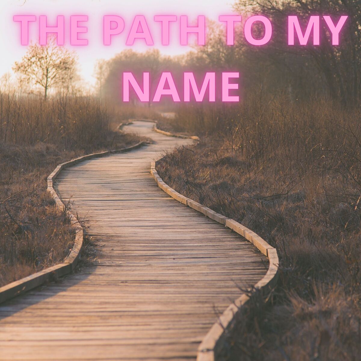 Album cover of The Path to My Name