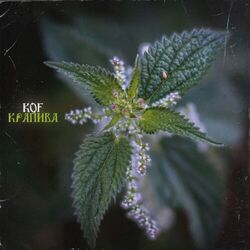 Cover of Крапива