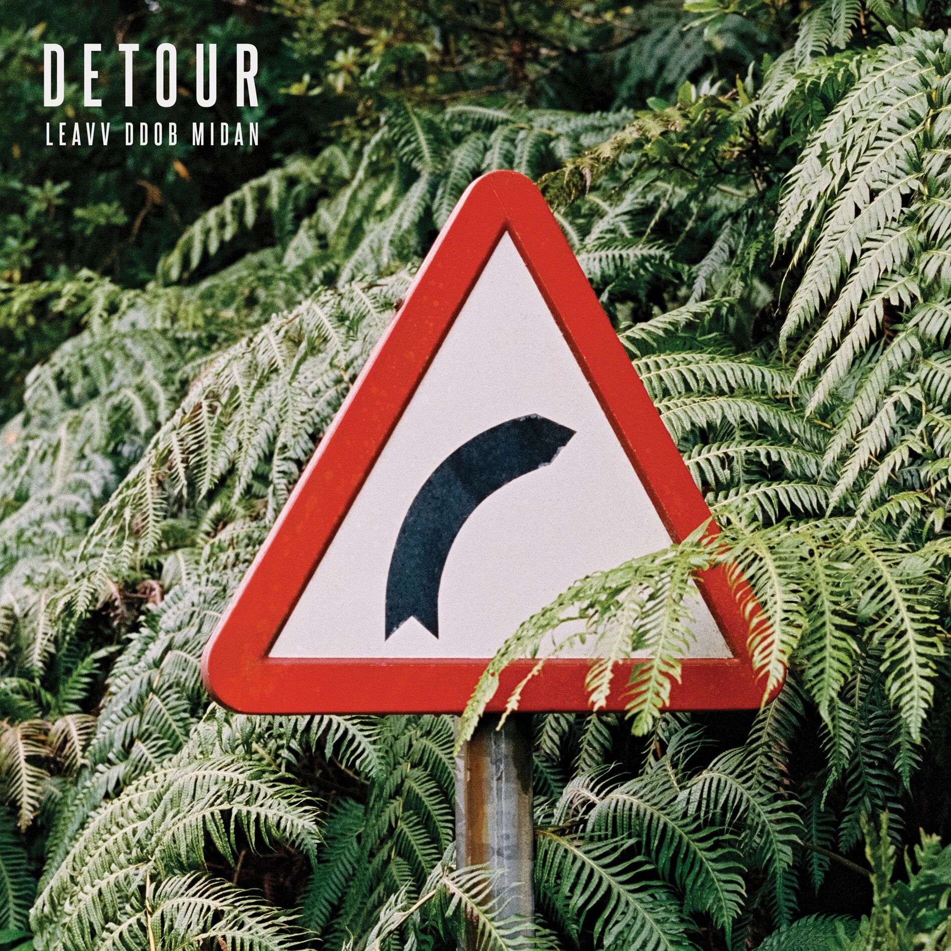 Album cover of Detour