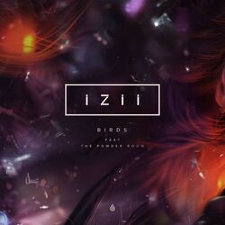 Cover of Birds