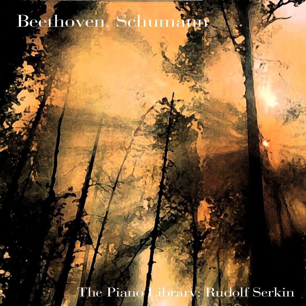 Picture of Beethoven & Schumann : The Piano Library