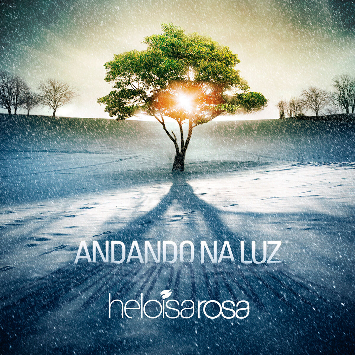 Album cover of Andando na Luz