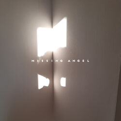 Cover of missing angel